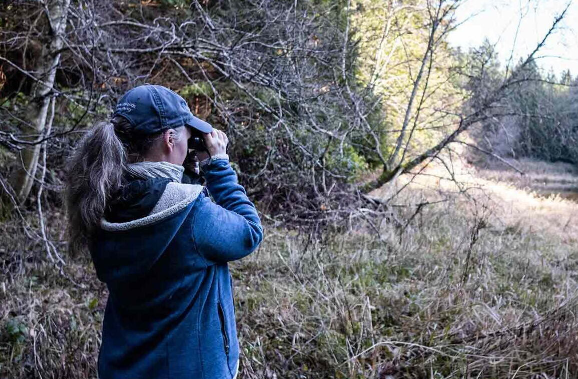 Best gifts for birders - Christmas gifts and birdwatching gift